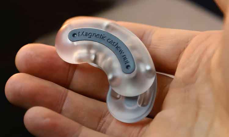 Cashew Nut Hand Push Slider