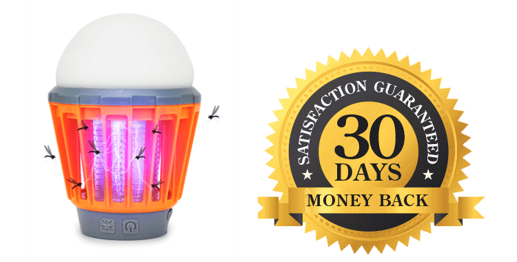 30 Days Money Back Guaranteed
