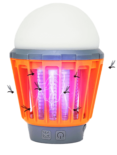 Bug Bulb