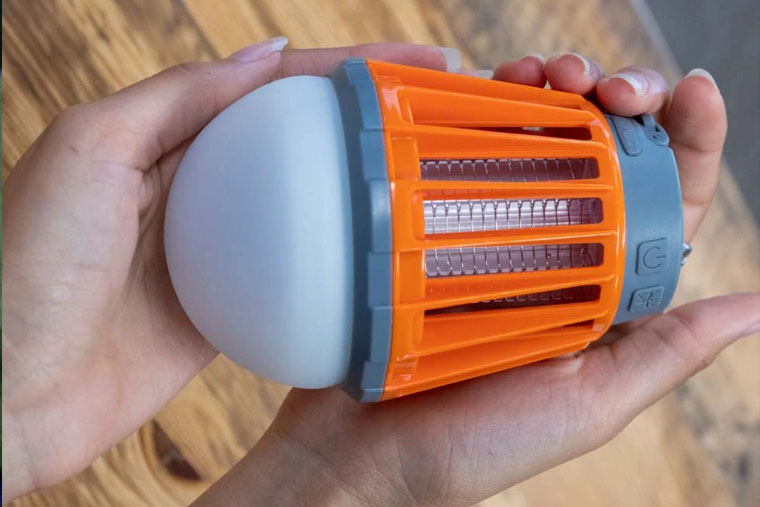Bug Bulb