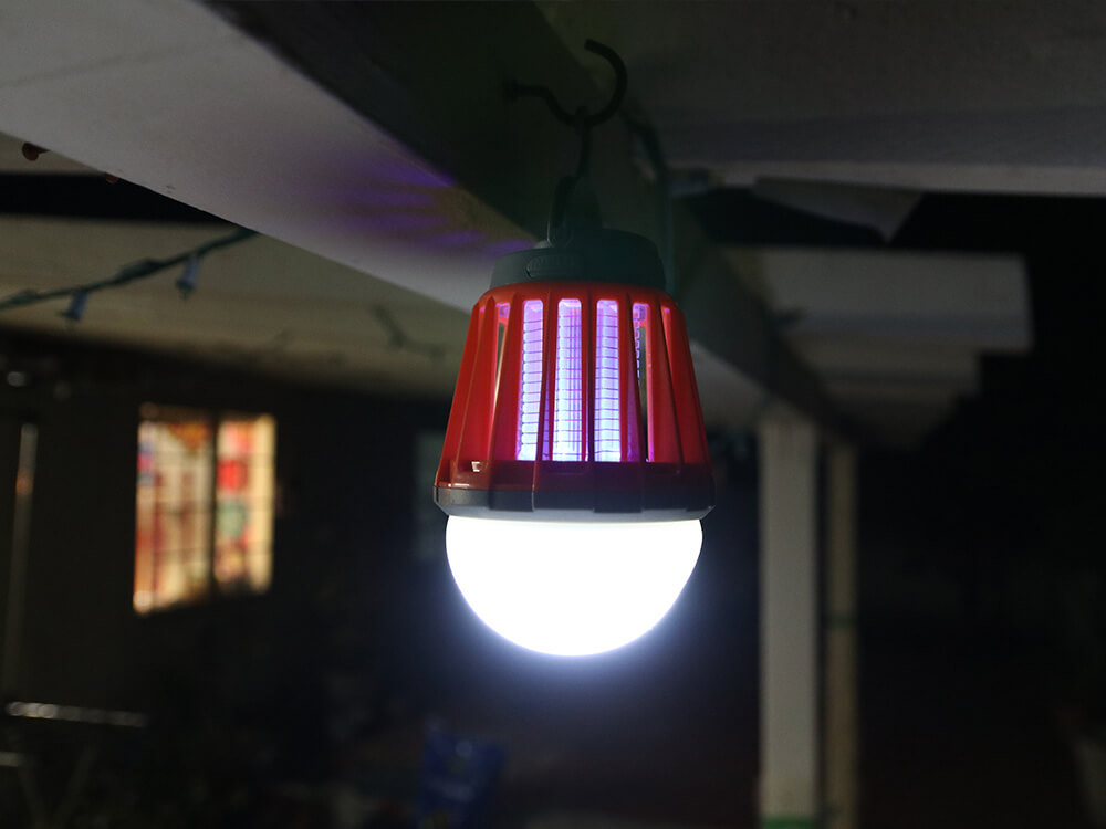 Bug Bulb
