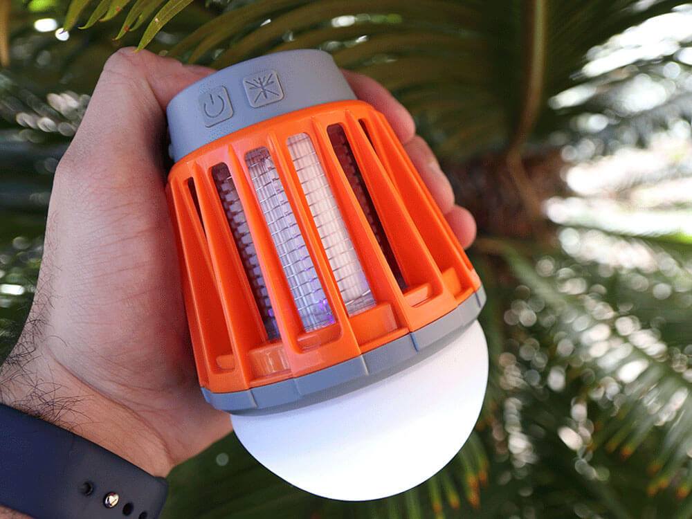 Bug Bulb