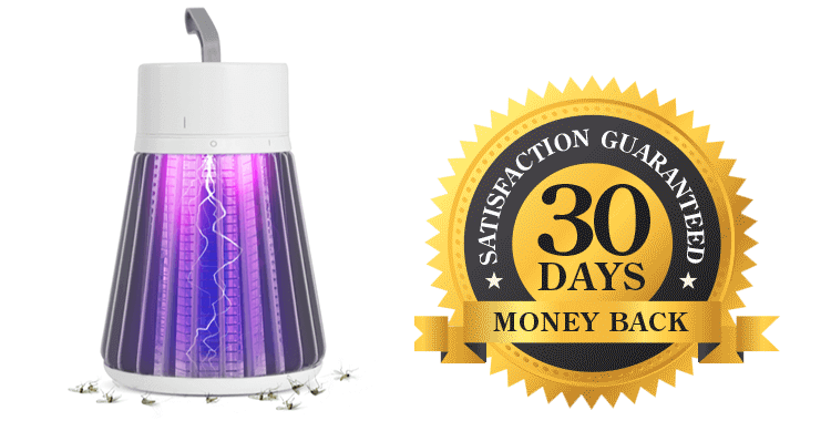 30 Days Money Back Guaranteed